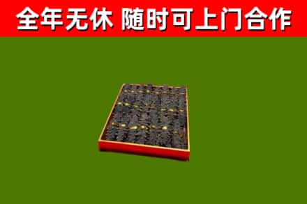 西充回收海参